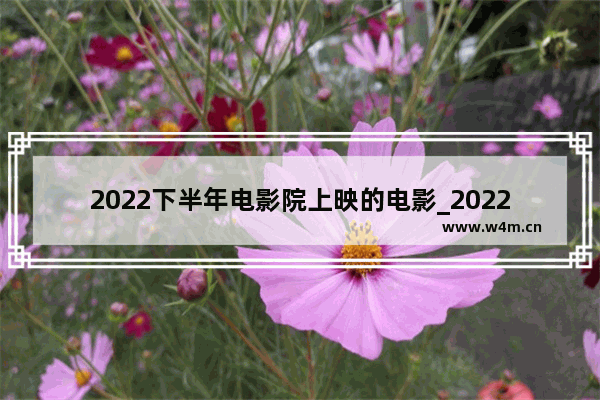 2022下半年电影院上映的电影_2022年电影院已上映的全部电影