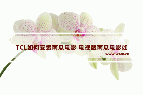 TCL如何安装南瓜电影 电视版南瓜电影如何搜索最新电影呢