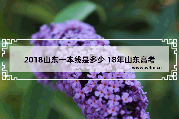 2018山东一本线是多少 18年山东高考分数线是