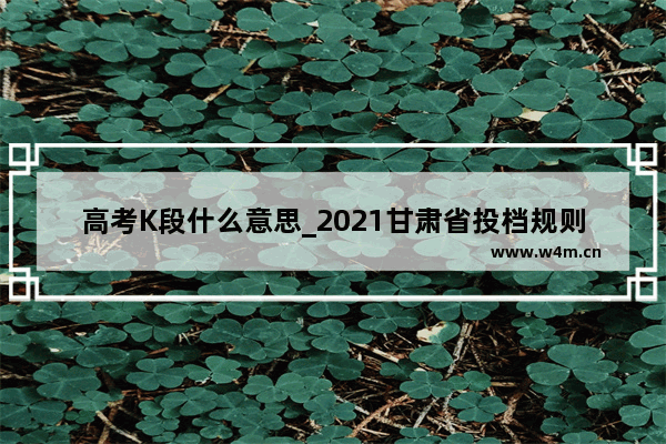 高考K段什么意思_2021甘肃省投档规则