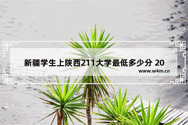 新疆学生上陕西211大学最低多少分 2011年高考分数线新疆