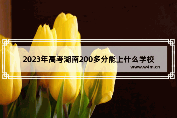 2023年高考湖南200多分能上什么学校 湖2016年高考分数线