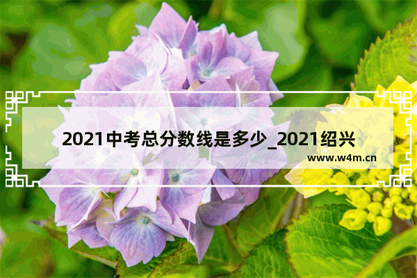 2021中考总分数线是多少_2021绍兴中考职高多少分能上