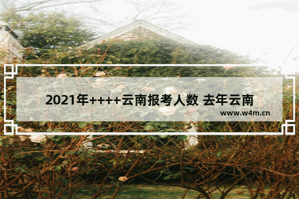 2021年++++云南报考人数 去年云南++++分数线