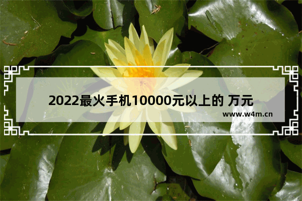 2022最火手机10000元以上的 万元以上手机推荐