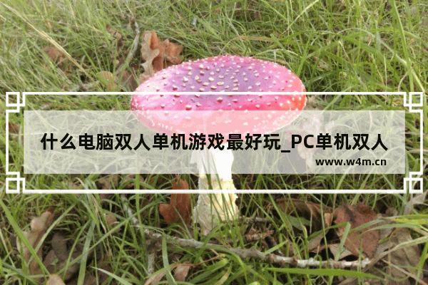 什么电脑双人单机游戏最好玩_PC单机双人游戏推荐