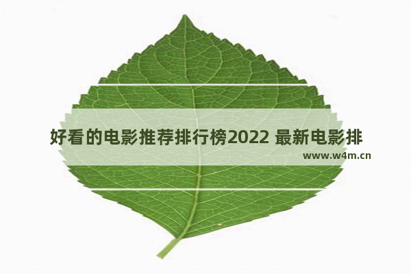 好看的电影推荐排行榜2022 最新电影排行榜名字有哪些呢