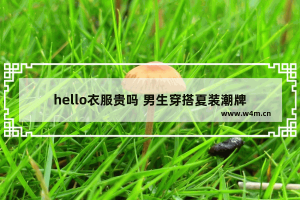 hello衣服贵吗 男生穿搭夏装潮牌