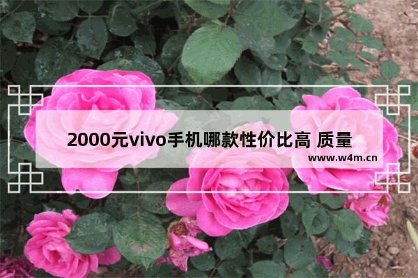 2000元vivo手机哪款性价比高 质量好2021年_男士手机推荐两千以内