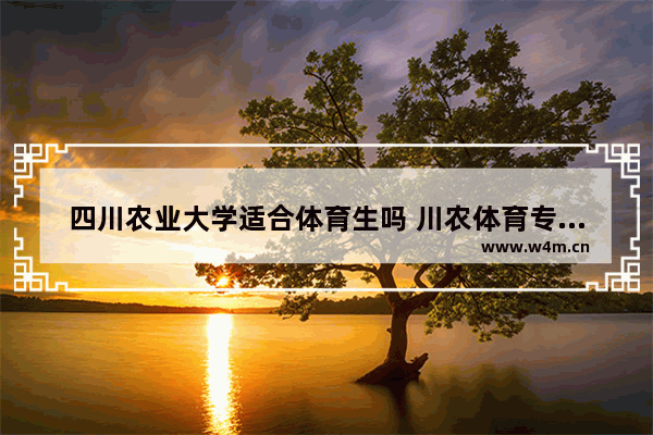 四川农业大学适合体育生吗 川农体育专业高考分数线