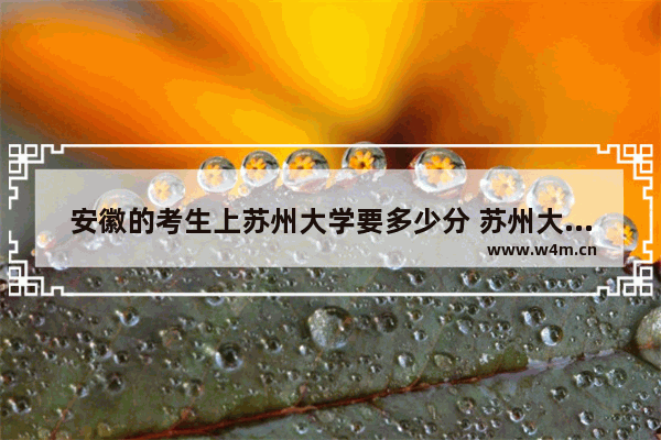 安徽的考生上苏州大学要多少分 苏州大学安徽高考分数线