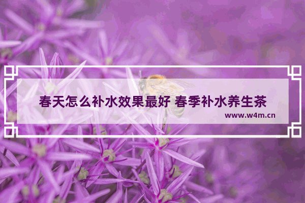 春天怎么补水效果最好 春季补水养生茶