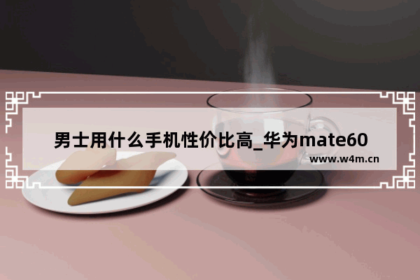 男士用什么手机性价比高_华为mate60pro青色适合男士吗