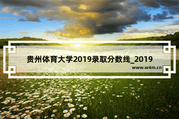 贵州体育大学2019录取分数线_2019年高考540分位次是多少