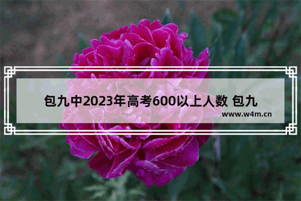 包九中2023年高考600以上人数 包九中高考分数线