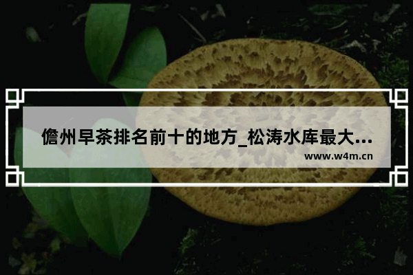 儋州早茶排名前十的地方_松涛水库最大的鱼