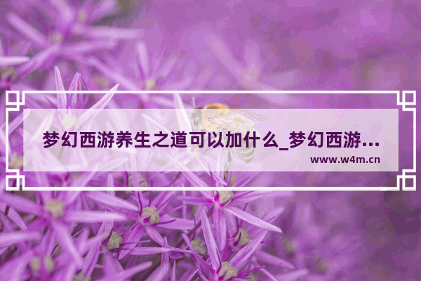 梦幻西游养生之道可以加什么_梦幻西游中养生之道能提高活力恢复速度嘛