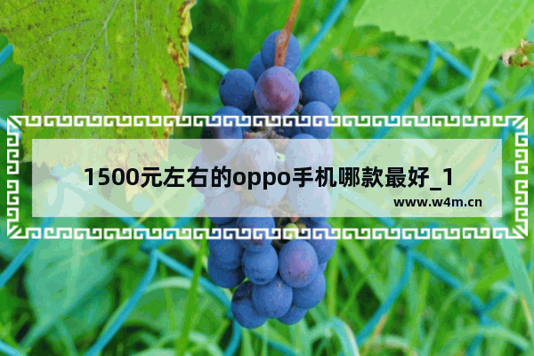 1500元左右的oppo手机哪款最好_1500元以内8+256华为手机推荐