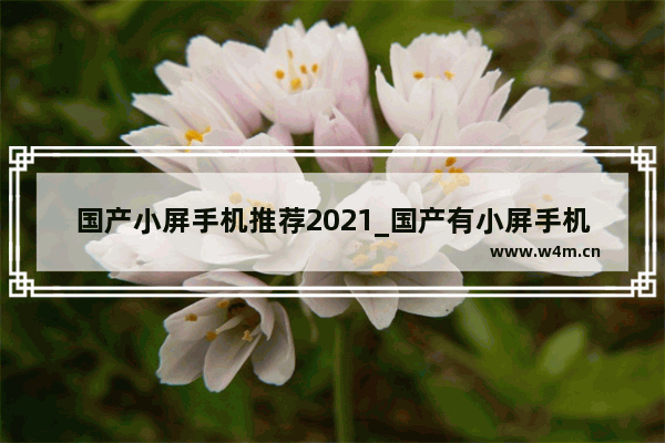 国产小屏手机推荐2021_国产有小屏手机吗