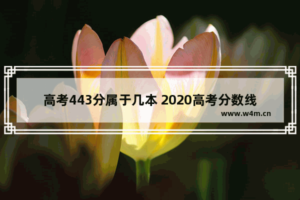 高考443分属于几本 2020高考分数线二本c