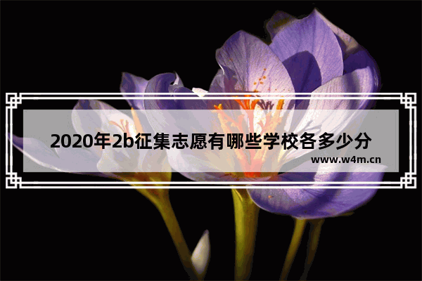 2020年2b征集志愿有哪些学校各多少分 2020高考分数线2a