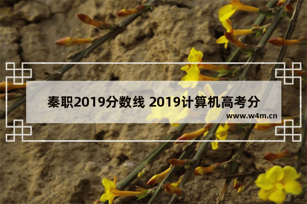 秦职2019分数线 2019计算机高考分数线