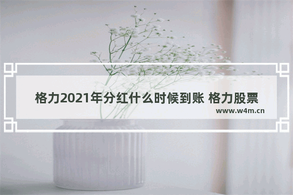 格力2021年分红什么时候到账 格力股票分红什么时候到账