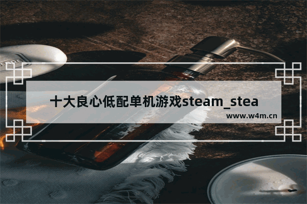 十大良心低配单机游戏steam_steam低配置吃鸡推荐