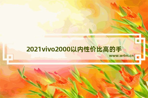 2021vivo2000以内性价比高的手机_一千块以内手机推荐哪款