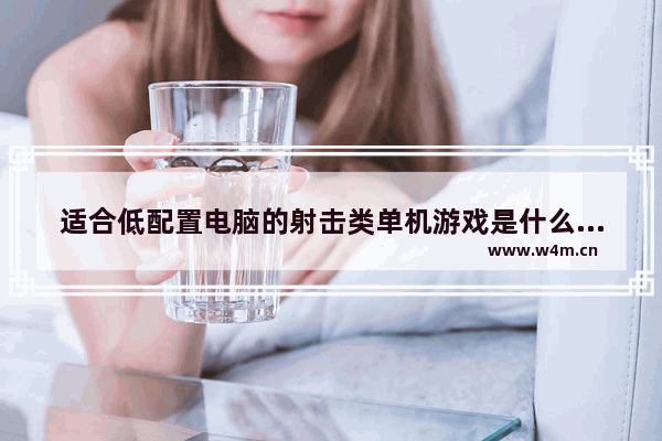 适合低配置电脑的射击类单机游戏是什么_推荐个低配射击单机游戏