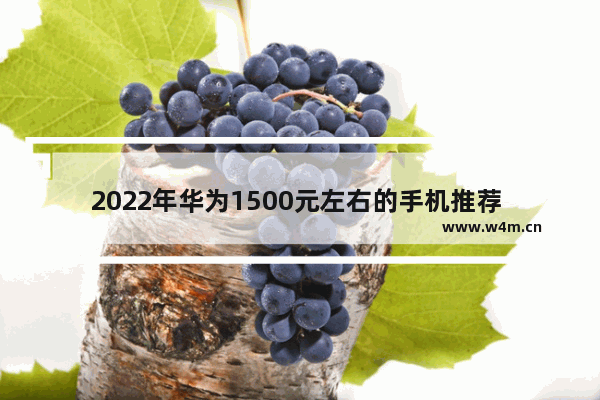 2022年华为1500元左右的手机推荐 一千五块左右手机推荐哪款