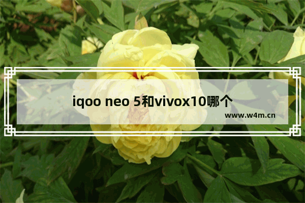 iqoo neo 5和vivox10哪个值得入手 一千五左右vivo手机推荐