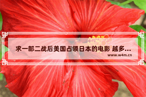 求一部二战后美国占领日本的电影 越多越好 谢谢各位啦 麻烦一下大家 好莱坞最新电影排行前十名有哪些