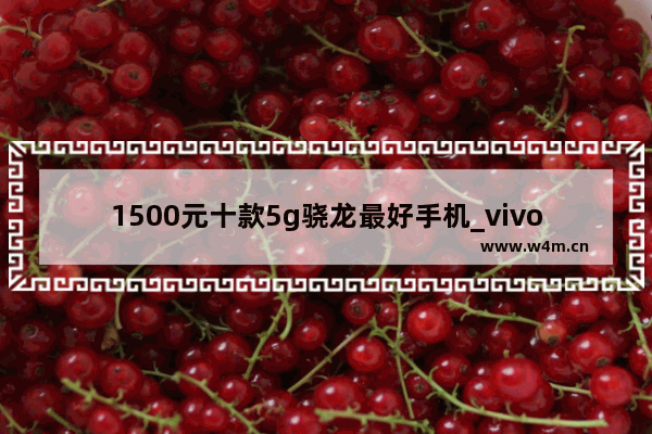 1500元十款5g骁龙最好手机_vivo1500元左右手机推荐