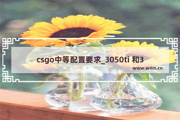 csgo中等配置要求_3050ti 和3060能玩哪些游戏