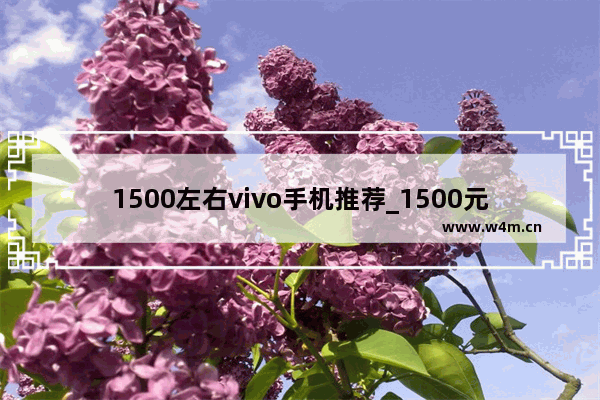 1500左右vivo手机推荐_1500元左右华为5g手机推荐