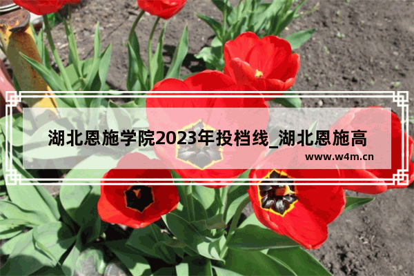 湖北恩施学院2023年投档线_湖北恩施高考总分多少