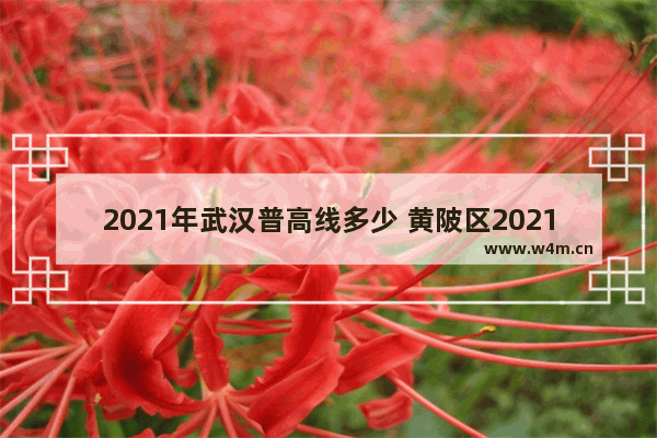 2021年武汉普高线多少 黄陂区2021高考分数线