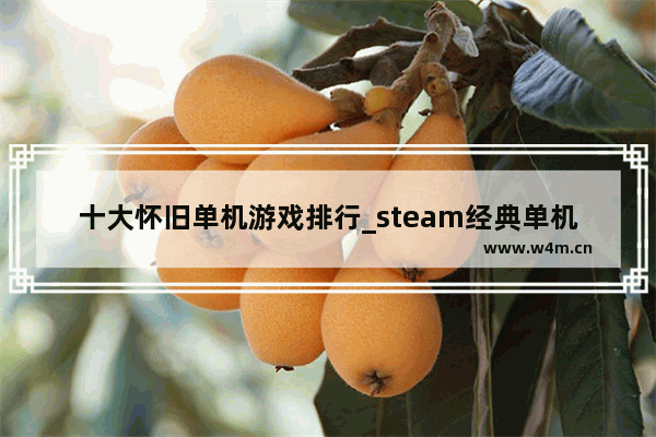 十大怀旧单机游戏排行_steam经典单机电脑游戏