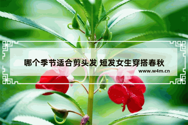 哪个季节适合剪头发 短发女生穿搭春秋