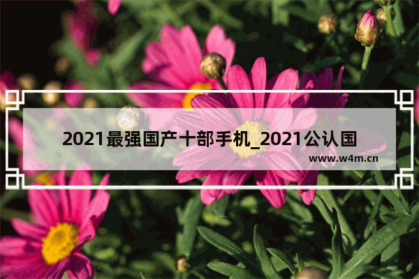 2021最强国产十部手机_2021公认国产口碑最好的三部手机