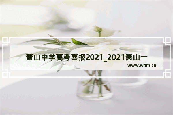 萧山中学高考喜报2021_2021萧山一模480分什么水平