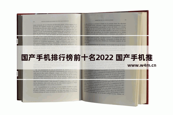 国产手机排行榜前十名2022 国产手机推荐买什么