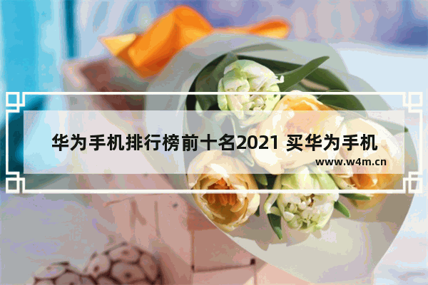 华为手机排行榜前十名2021 买华为手机推荐哪款好一点