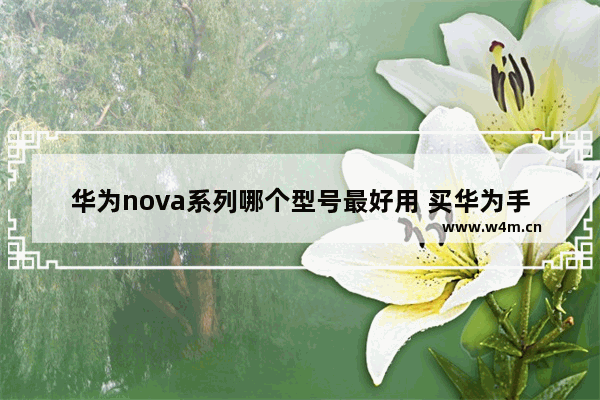 华为nova系列哪个型号最好用 买华为手机推荐哪几款