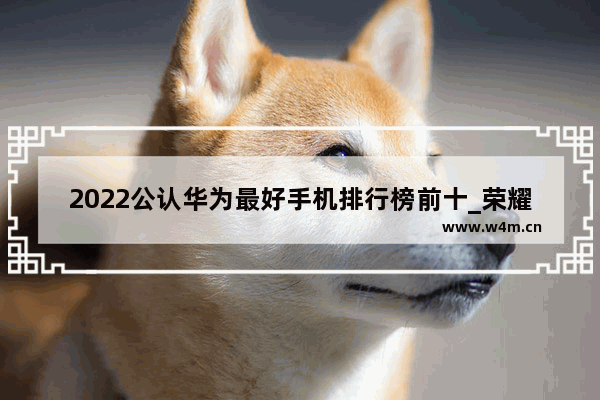 2022公认华为最好手机排行榜前十_荣耀和华为手机买哪个最好