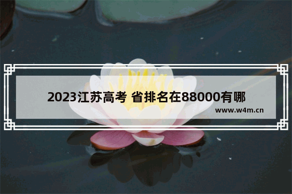 2023江苏高考 省排名在88000有哪些大学可上_江苏大学排名