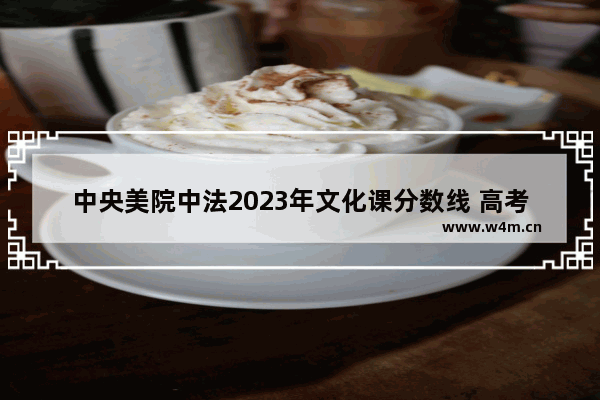 中央美院中法2023年文化课分数线 高考分数线中央美术学院