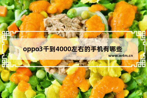 oppo3千到4000左右的手机有哪些 3千价位手机推荐测评