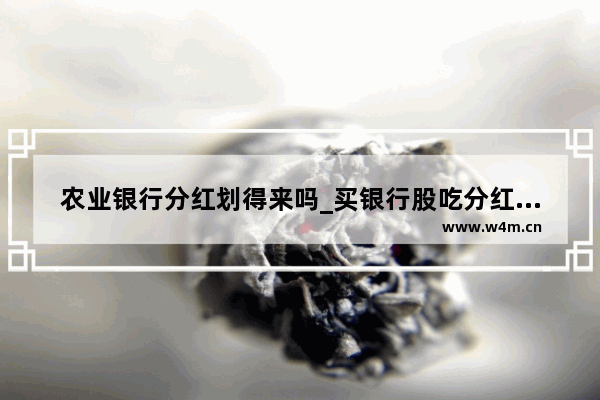 农业银行分红划得来吗_买银行股吃分红划算吗